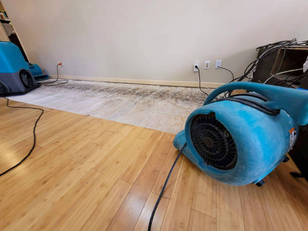 Professional Water Removal technician working in Adams, WI